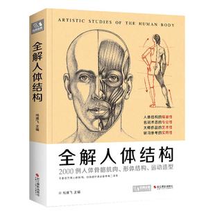 经典全集2020新书 全解人体结构艺术用解剖学工具书籍素描美术绘画入门教程理解骨骼肌肉运动造型形体手绘技法笔记图集教材 杨建飞