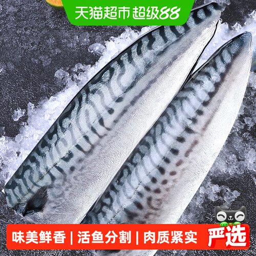 青花鱼鲭鱼青花鱼片日式盐渍新鲜