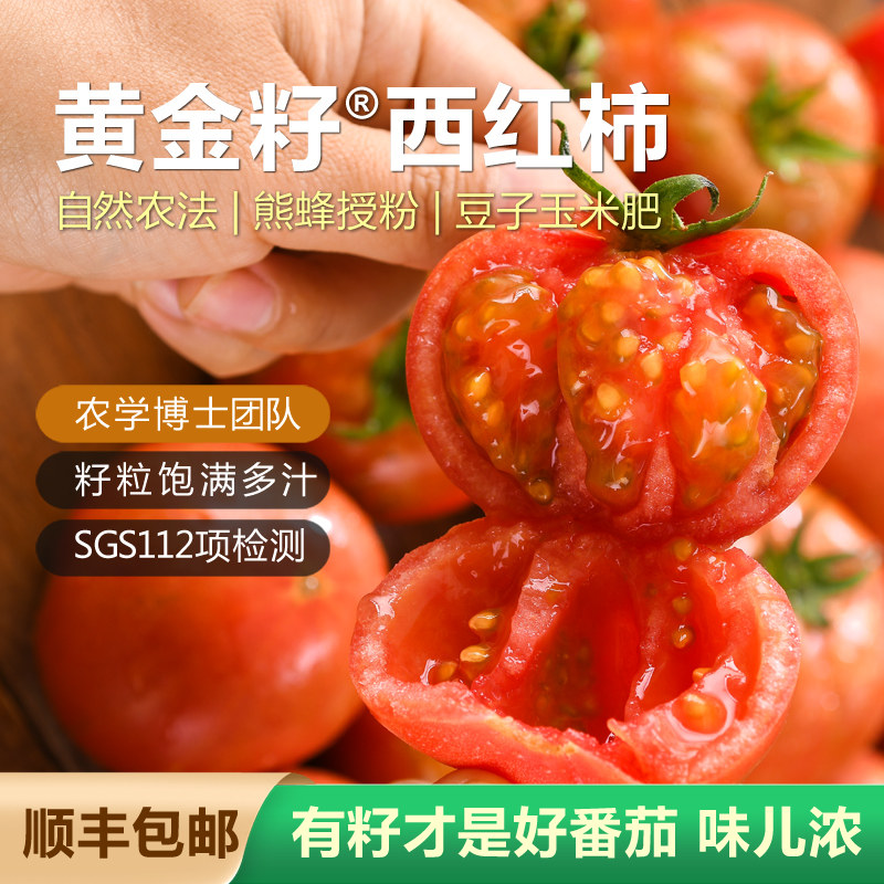 黄金籽西红柿新鲜自然熟老品种水果儿时番茄4.8-5斤非铁皮,水产肉类/新鲜蔬果/熟食,番茄,淘宝优惠券,粉丝福利购,淘宝优惠卷