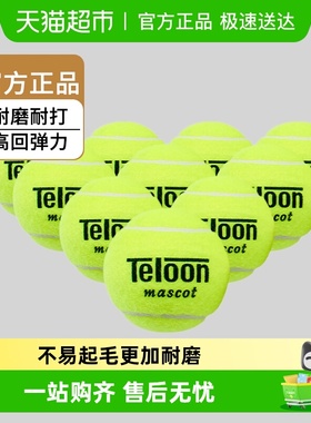 Teloon天龙网球用球603Rising801Ace初学训练球高回弹力袋装耐磨