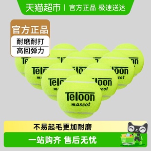 Teloon天龙网球用球603Rising801Ace初学训练球高回弹力袋装 耐磨