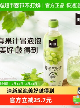 可口可乐美汁葡萄气泡饮果汁气泡饮480ml*12瓶（B）