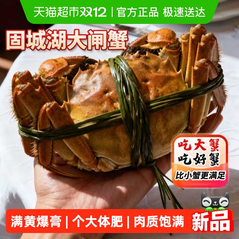 鑫渔人大闸蟹全母蟹礼盒装精品蟹