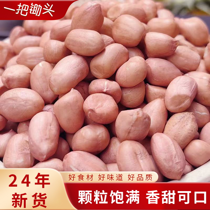 东北生花生2024年新货白沙花生米仁
