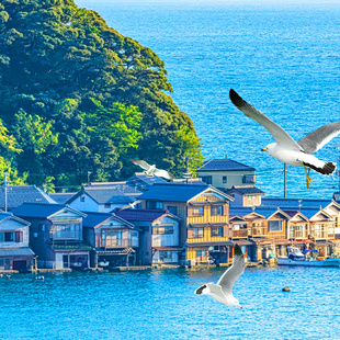 测试请勿拍 京都深度一日游|天桥立缆车伊根舟屋游船一日游