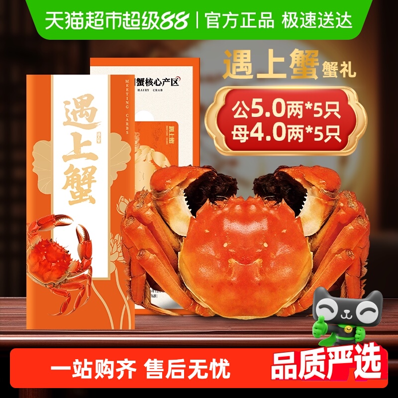 зբзȯзƷзȯ6888