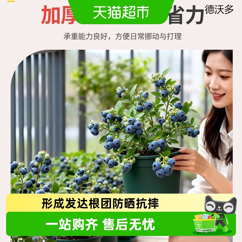 德沃多青山盆室内加厚控根透气圆柱形塑料花盆家用引导根系发育