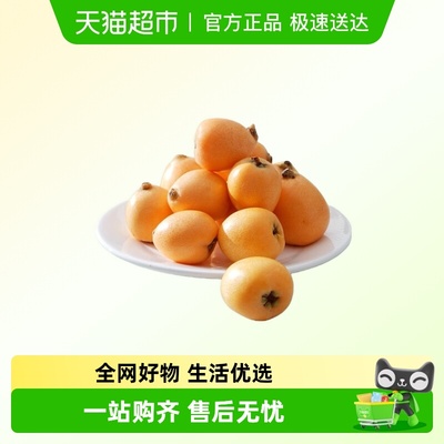 胡鲜森食品蒙自甜枇杷当季