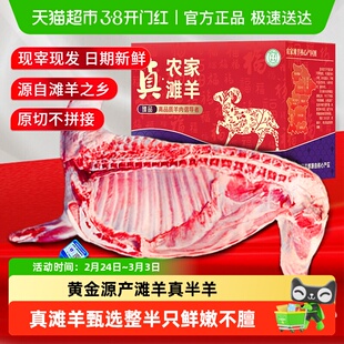 半只羊礼盒正宗宁夏滩羊肉新鲜现杀盐池羔羊排羊后腿整只年货送礼