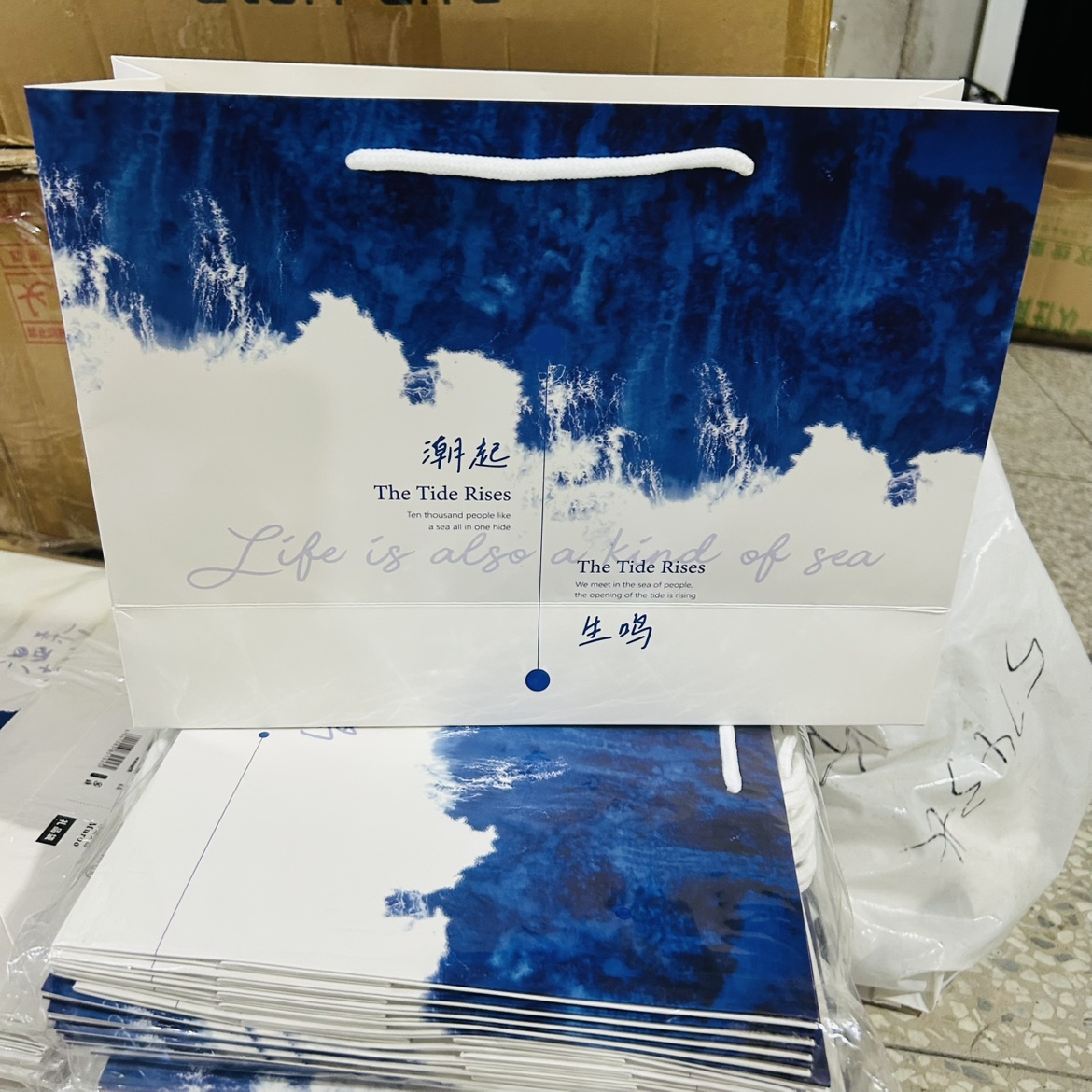 潮起生鸣大号礼品袋10个