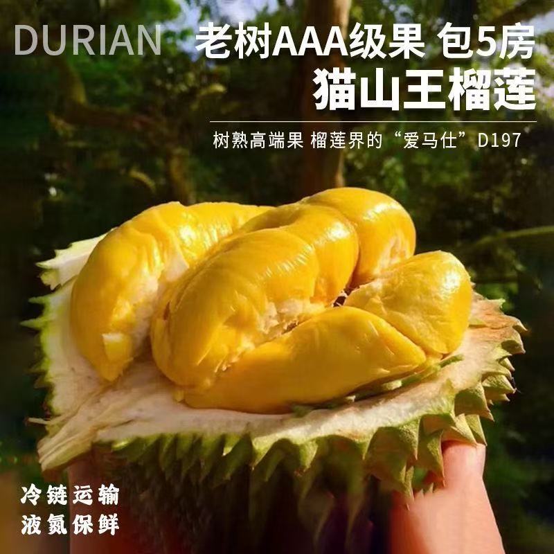 马来西亚进口猫山王榴莲D197整颗当季新果原箱液氮冷冻保鲜5A级果