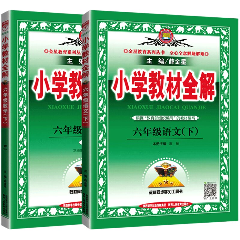 2026春小学教材全解六年级下册语文数学教材全解全套2本人教版RJ 课堂同步解读析同步训练学习资料包教辅书同步阅读试卷练习题