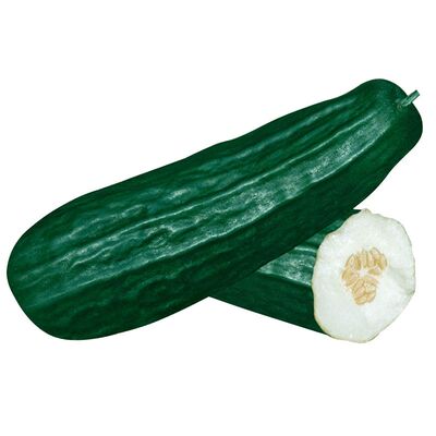 酥瓜春季早熟耐热种子