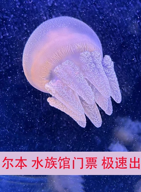 [墨尔本水族馆-大门票]澳大利亚墨尔本水族馆大门票SEA LIFE Melbourne Aquarium