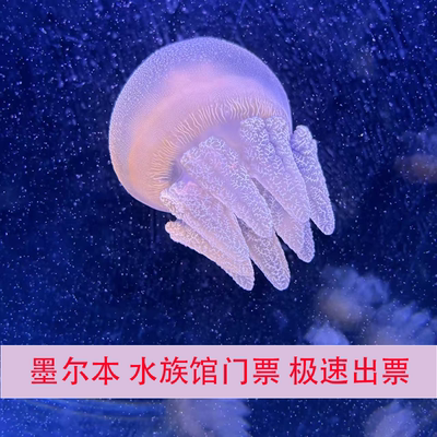 [墨尔本水族馆-大门票]澳大利亚墨尔本水族馆大门票SEA LIFE Melbourne Aquarium