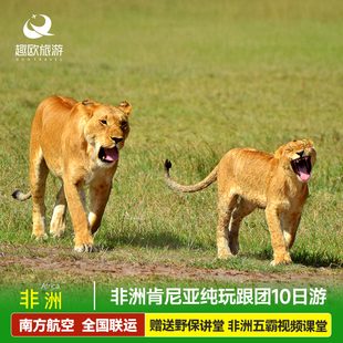 非洲跟团旅游纯玩肯尼亚10天马赛马拉安博塞利乞力马扎罗山