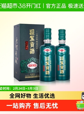 迎驾贡酒迎驾洞藏9浓香型白酒50度520ml*2瓶 商务聚会宴请送礼