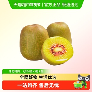 枝上至上红心猕猴桃颗颗甄选当季新鲜采摘皮薄肉厚甜蜜爆汁