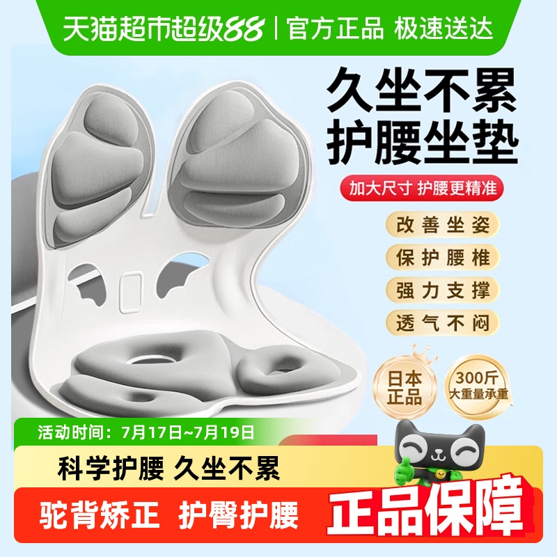 人体工学久坐护腰坐垫--顺丰包邮