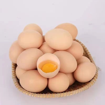 农家散养谷物鸡蛋营养丰富新鲜直发健康美味蛋类早餐食材