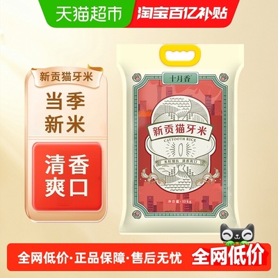 十月香新贡猫牙米大米10kg×1袋
