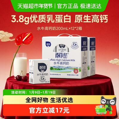 百菲酪高钙水牛奶风味乳