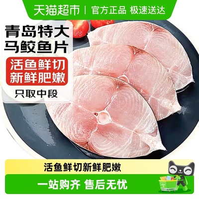 海仙部落马鲛鱼青岛新鲜特大