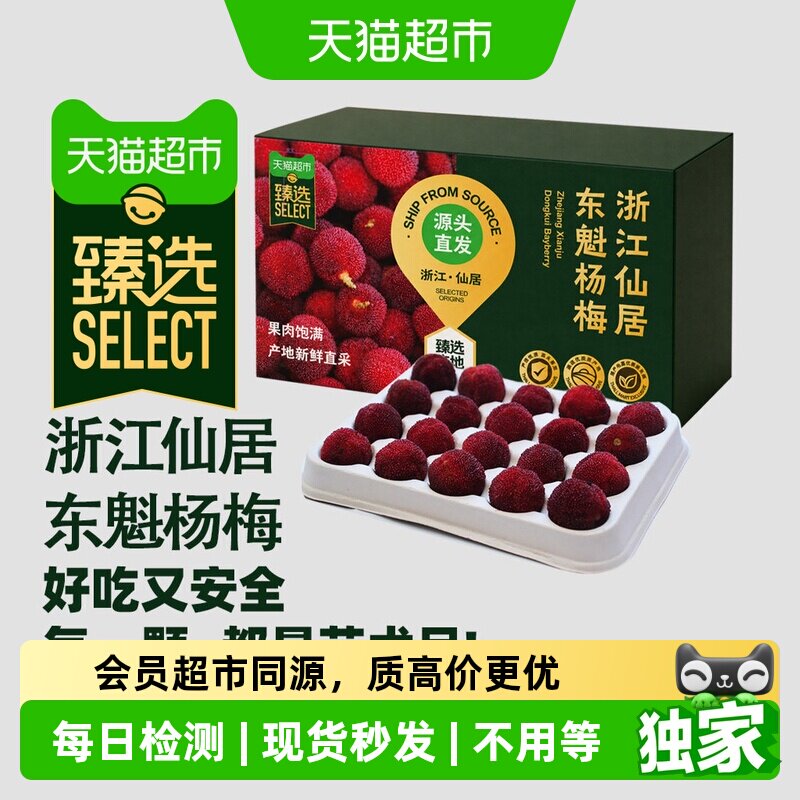 猫超臻选大棚现货仙居杨梅新鲜大果现摘精品果东魁杨梅印象仙居