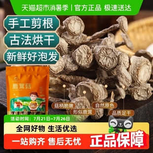 怡江黄金耳鹿茸菇干货鹿茸菌非特级野生脆脆菇蘑菇云南菌子