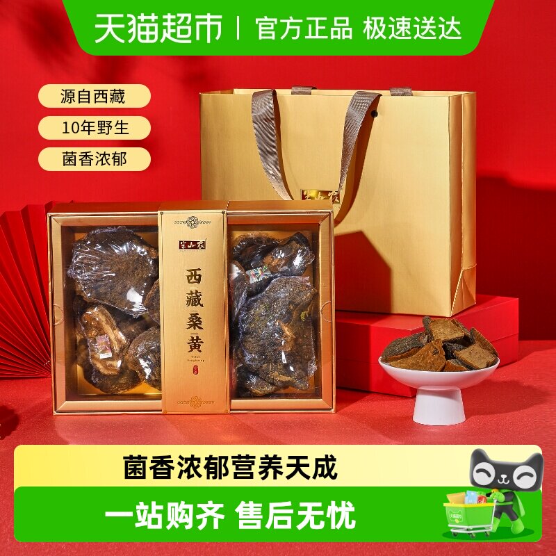 半山农桑黄西藏野生中药材整朵礼盒灵芝整枝桑树菌种泡酒泡茶送礼