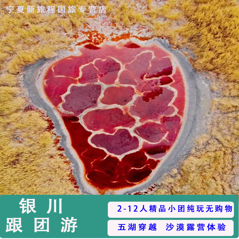 宁夏银川出发内蒙古阿拉善左旗腾格里沙漠五湖穿越沙坡头跟团游