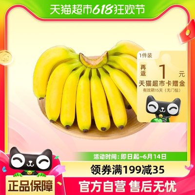 福建漳州天宝蕉农家现摘5斤当季新鲜水果孕妇水果