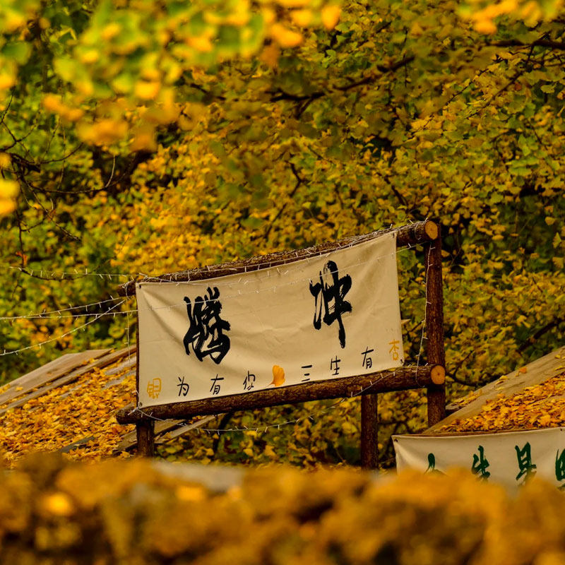 全国出发云南芒市瑞丽腾冲6天5晚自由行旅游 机票+酒店+接送机