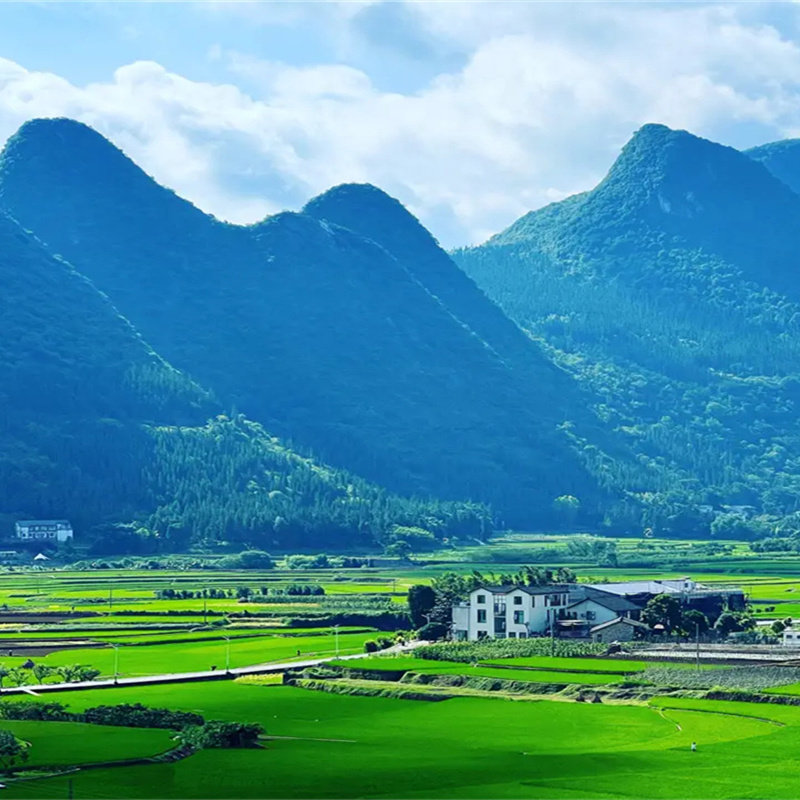 贵州旅游纯玩8天7晚跟团黄果树万峰林梵净山荔波西江苗寨