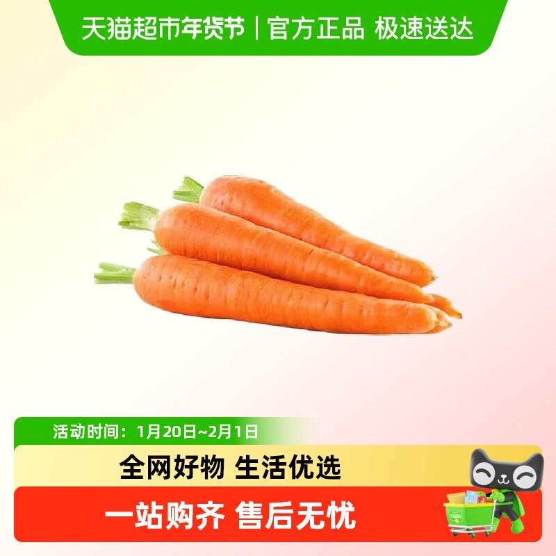 胡萝卜新鲜胡萝卜沙土地蔬菜水果红萝卜现挖现发农家蔬菜,水产肉类/新鲜蔬果/熟食,番薯,淘宝优惠券,粉丝福利购,淘宝优惠卷