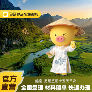 越南·十五天单次入境·上海送签·【飞猪官方直营】越南签证另纸签证十五天全国受理加急个人旅游