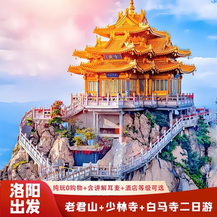 河南洛阳旅游2天1晚到少林寺白马寺老君山二日游纯玩含门票住宿