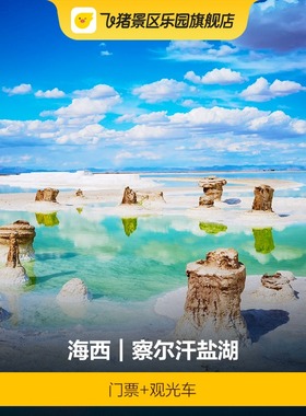 [察尔汗盐湖-门票+观光车]察尔汗盐湖-门票+观光车