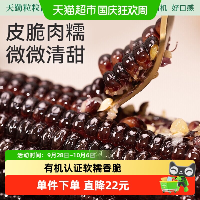 天勤粒粒净有机黑糯玉米图片