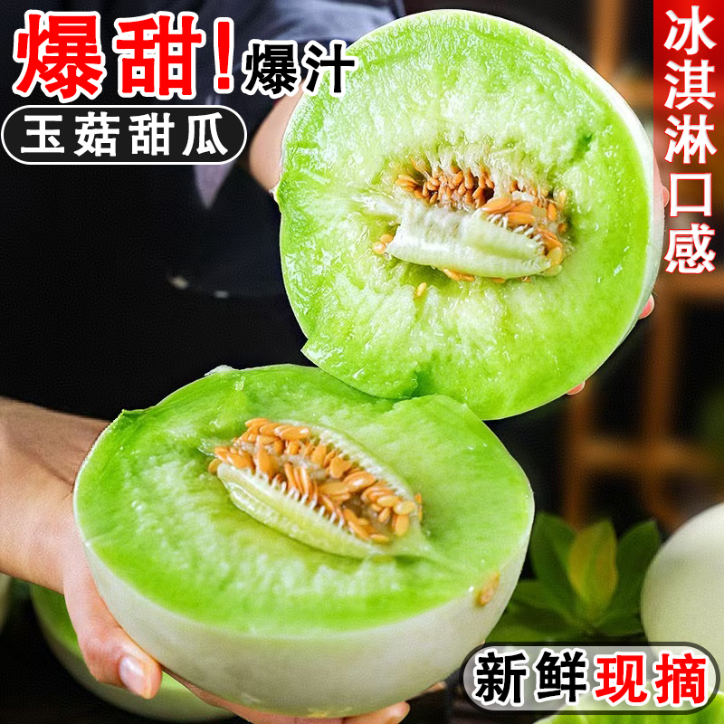 山东玉菇甜瓜当季新鲜现摘水果冰淇淋蜜瓜软糯香甜冰激凌薄皮白瓜