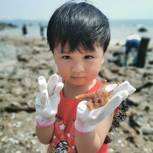 旅行 亲子体验式 厦门旅游3天2晚鼓浪屿帆船出海小 私家独立团