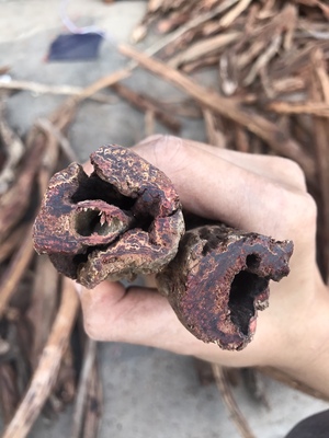 海南大叶降真香.淳化老料.土埋