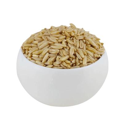 全胚芽有机燕麦米农家燕麦仁