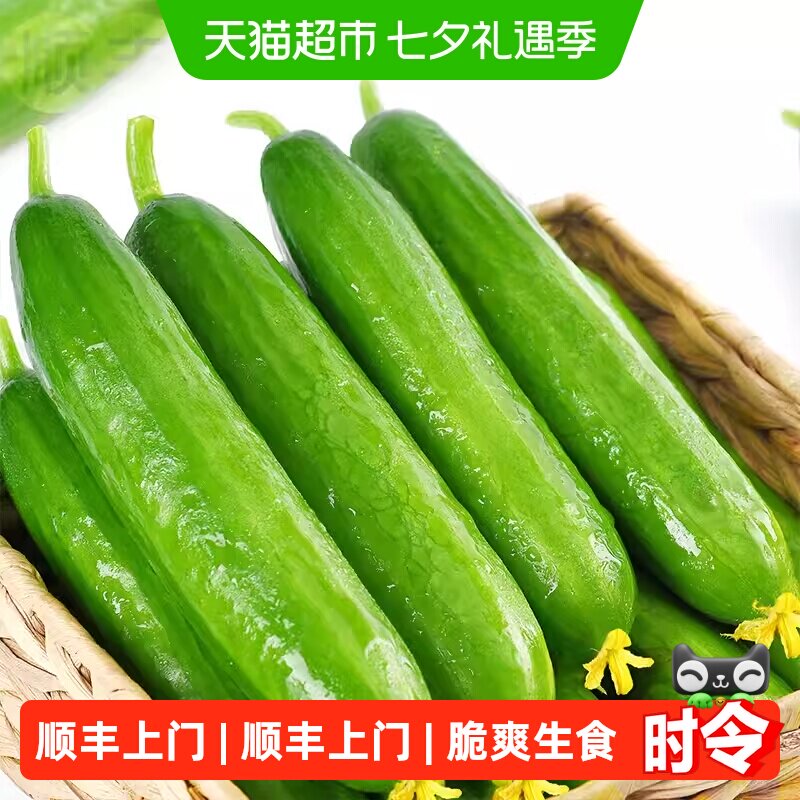 瓜憨憨即食黄瓜清香扑鼻鲜嫩水灵