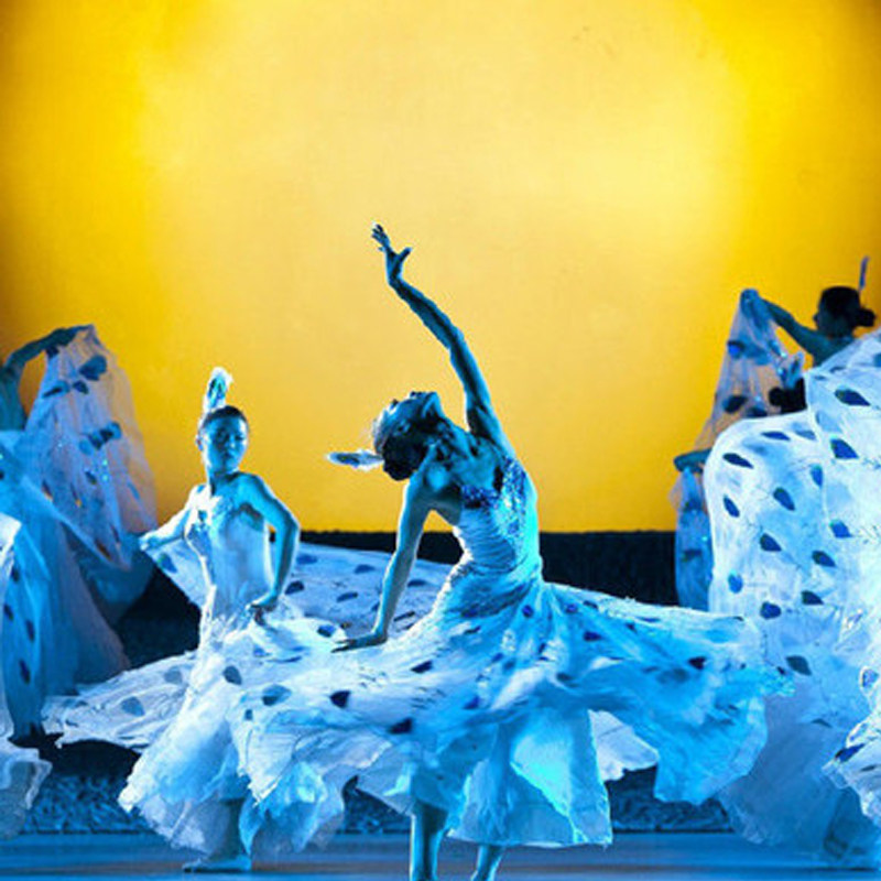 云南映象演出票