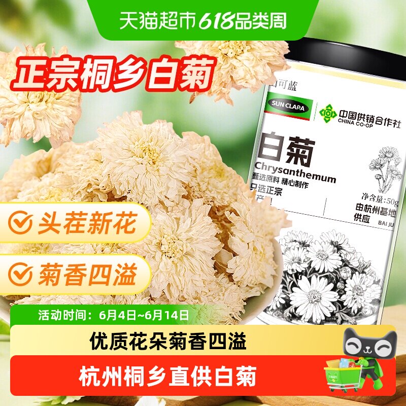 白菊正宗浙江杭州头茬白菊新花白菊花干胎菊不硫熏泡水火去养生茶