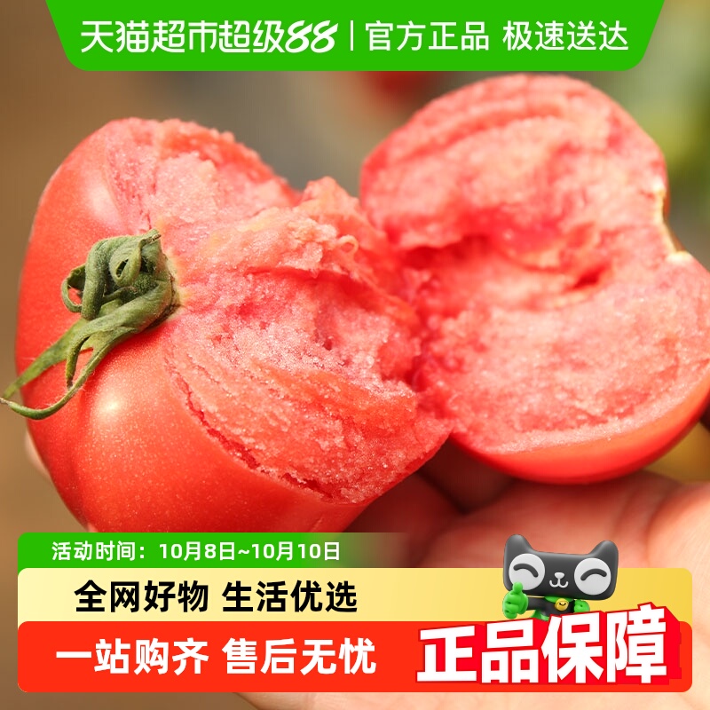 寿禾番茄苗蔬菜丝瓜菜苗秧秧苗黄瓜辣椒茄子西瓜秋葵