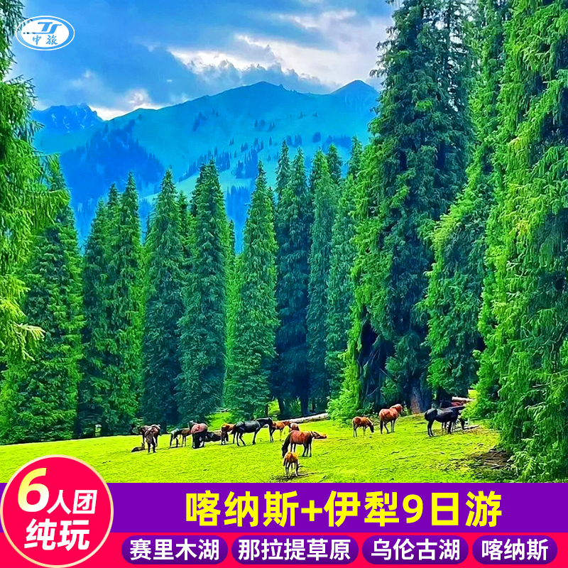 【纯玩6人团】新疆旅游9日跟团游赛里木湖那拉提乌伦古湖喀纳斯