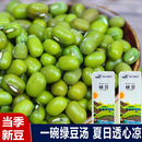 綠豆新鮮陜北農(nóng)家精品綠豆可發(fā)芽薄皮真空裝 當季 綠豆粥綠豆糕原料