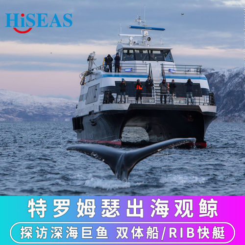 挪威特罗姆瑟出海观鲸